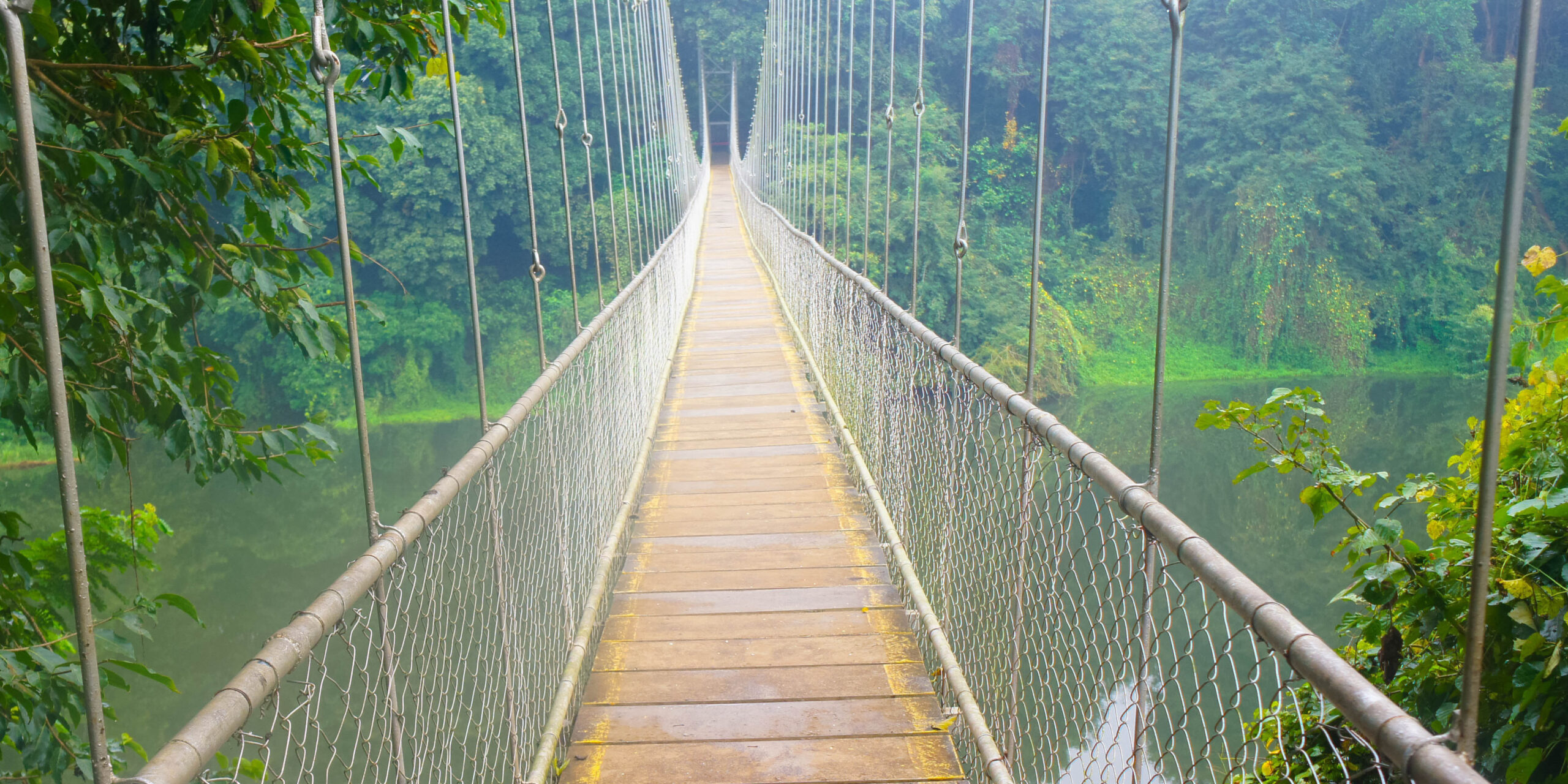 Ongoing Support: How Franchises Always Have Your Back