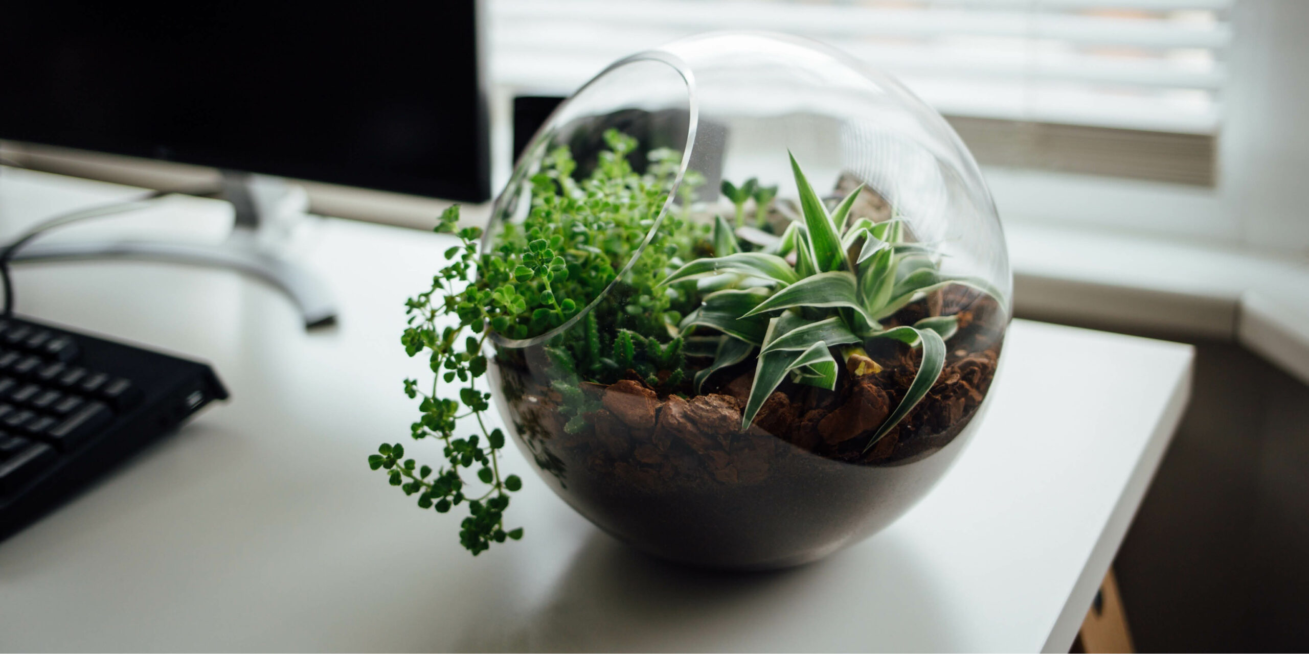 Commercial cleaning is serious business — but that doesn’t mean we can’t have a laugh along the way. Behind every sparkling surface and polished floor, there are little moments that make us smile.