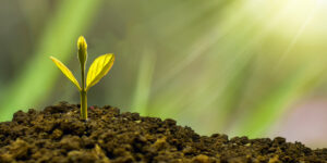 The Hidden Economics of Commercial Cleaning and Why Franchisees Are Making Bank